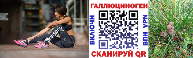 Галлюциногенные грибы Cubensis Балашов