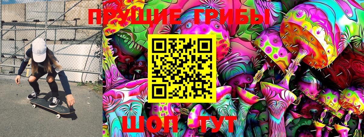 Псилоцибиновые грибы Cubensis Балашов