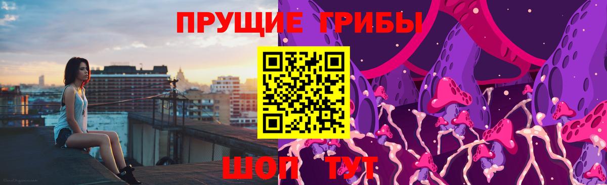 Балашов  хочу наркоту  Вход с VPN  Псилоцибиновые грибы прущие грибы 